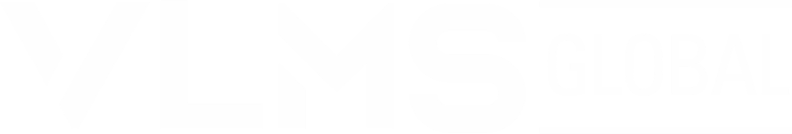 VLMS Global Consulting Inc.